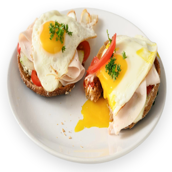 turkey egg
